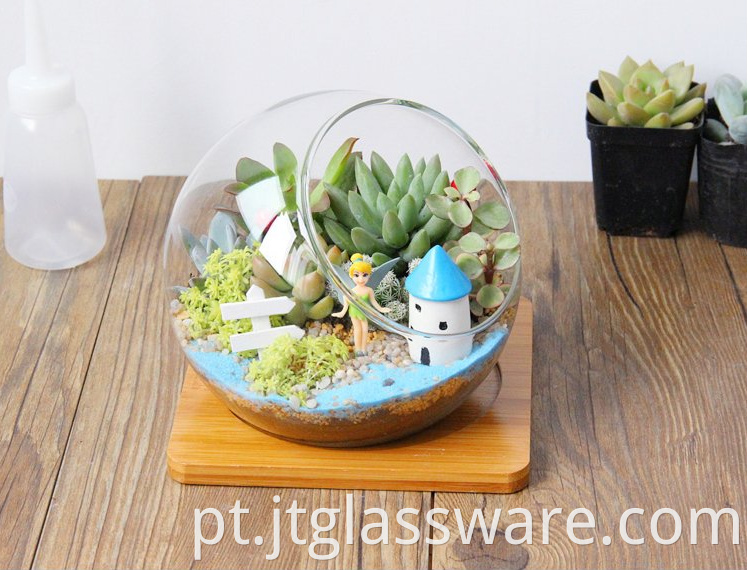 hanging terrarium